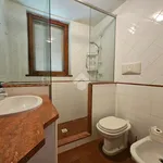 Rent 1 bedroom house of 180 m² in Latina