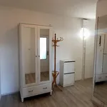 Rent 1 bedroom apartment in Praha 5