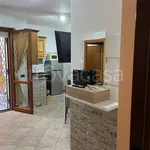 Rent 2 bedroom apartment of 50 m² in Nettuno