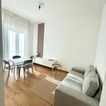 Rent 3 bedroom apartment of 50 m² in Bologna