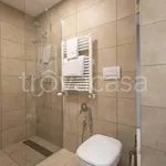 Rent 1 bedroom apartment of 21 m² in Firenze