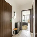 Pronajměte si 2 ložnic/e byt o rozloze 55 m² v Prague