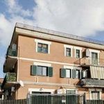 Monolocale di 35 m² a Rome