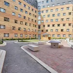 Rent 1 bedroom apartment in London