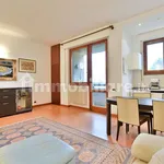 Rent 1 bedroom apartment of 51 m² in Monza