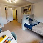 Rent 1 bedroom flat in Sheffield