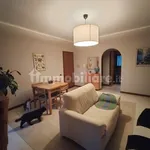 3-room flat excellent condition, first floor, Frascati