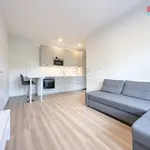 Rent 2 bedroom apartment of 50 m² in Praha