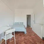 Rent 16 bedroom apartment in Lisbon