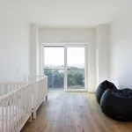 Rent 3 bedroom apartment of 155 m² in Lisbon