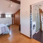 Rent 1 bedroom apartment in Porto