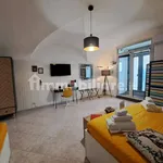 Rent 1 bedroom house of 65 m² in Catania