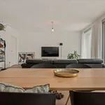 Rent 3 bedroom apartment in Turnhout