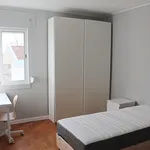 HOUSING PORTUGAL-Single Bedroom in renovated 5 Bedroom Apartment. Room 2