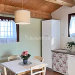 Rent 3 bedroom apartment of 65 m² in Faenza