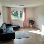 Rent 1 bedroom house of 100 m² in Prostřední Bludovice