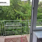 Rent 4 bedroom apartment of 125 m² in Gdynia