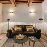 Rent 3 bedroom apartment of 70 m² in Firenze