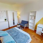 Louez une chambre de 170 m² à Lyon