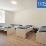 Pronájem bytu 2+1 57m²