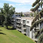 Rent 1 bedroom apartment of 52 m² in Calgary