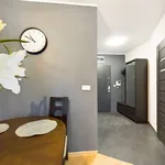 Rent 2 bedroom apartment of 48 m² in Toruń