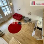 Rent 1 bedroom apartment of 42 m² in Praha