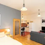 Rent 1 bedroom apartment of 35 m² in Prague