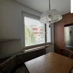 Rent 3 bedroom apartment of 75 m² in Brno