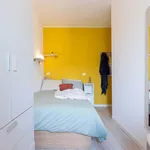 Rent a room of 50 m² in Padua