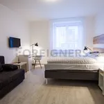 Rent 1 bedroom apartment of 35 m² in Brno