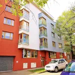 Rent 4 bedroom apartment of 118 m² in Brno