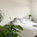 Rent 2 bedroom apartment in Antwerpen