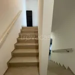 Rent 4 bedroom apartment of 98 m² in Bologna