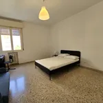 Rent a room of 110 m² in Modena