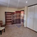 Rent 6 bedroom house of 230 m² in Roma