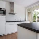 Huur 3 slaapkamer appartement van 84 m² in Molenlaankwartier