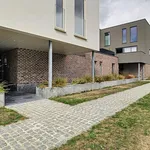 Rent 2 bedroom apartment of 31 m² in Overijse