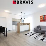 Rent 2 bedroom apartment of 58 m² in Brno