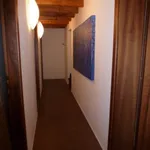 Rent 2 bedroom apartment of 150 m² in Padova