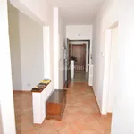 Rent 4 bedroom apartment of 80 m² in Livorno