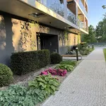 Rent 3 bedroom apartment of 68 m² in SZCZECIN 