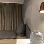 Rent 1 bedroom apartment of 42 m² in München