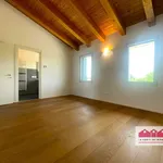 Rent 5 bedroom house of 200 m² in Vicenza