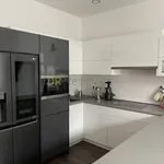 Rent 1 bedroom apartment of 98 m² in Brno