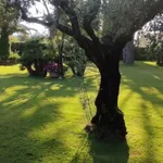 Rent 7 bedroom house of 150 m² in San Felice Circeo