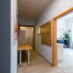 Miete 1 Schlafzimmer wohnung von 35 m² in Dresden