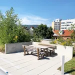 Rent 2 bedroom apartment of 52 m² in Graz