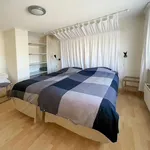 Rent 4 bedroom house in Elim