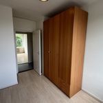Rent 4 bedroom apartment of 140 m² in Valkenswaard